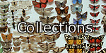 Collections